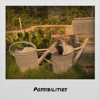 Various Artists - Possibilities