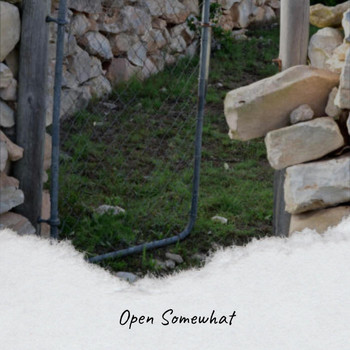Various Artists - Open Somewhat
