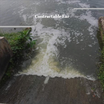Various Artists - Contractable Ear