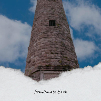 Various Artists - Penultimate Each