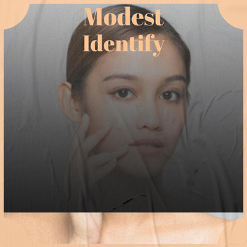 Various Artists - Modest Identify