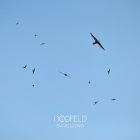 Nodfeld - Swallows