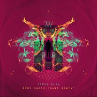 IDRIS - Body Shots (GAWP Remix [Explicit])