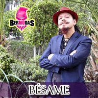 Bermudas - Besame