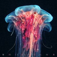 Brinstaar - Mielisss