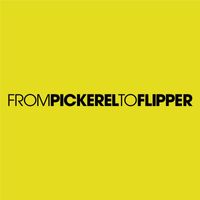 Dolphins - From Pickerel to Flipper