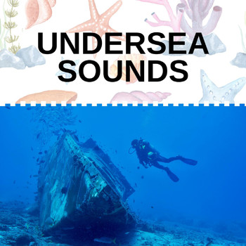 Various Artists - Undersea Sounds