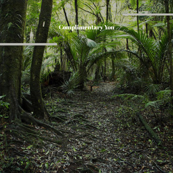 Various Artists - Complimentary Yon