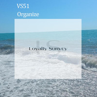 VS51 - Organize