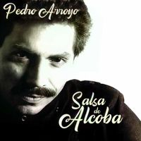 Pedro Arroyo - Salsa de Alcoba
