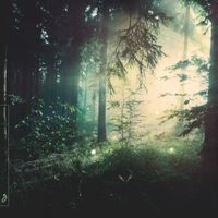 Nils Hoffmann feat. Panama - Far Behind