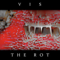 Vis - The Rot