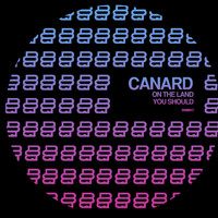 Canard - You Should