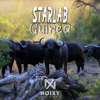 StarLab - Guinea