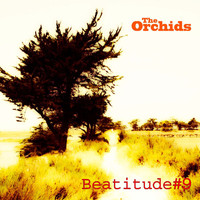 The Orchids - Beatitude #9