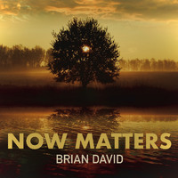 Brian David - Now Matters