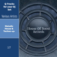 Miguel Serrano - Q-Tracks for your Dj Set Melodic House & Techno 4