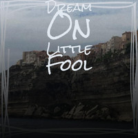 Various Artist - Dream On Little Fool