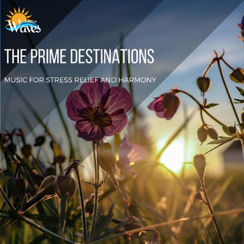 Various Artists - The Prime Destinations - Music for Stress Relief and Harmony
