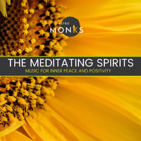 Serenity Calls - The Meditating Spirits - Music for Inner Peace and Positivity