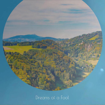 Various Artist - Dreams of a Fool