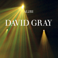 David Gray - Alibi, Pt. 1