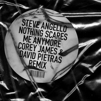 Steve Angello - Nothing Scares Me Anymore (Corey James & David Pietras Remix)