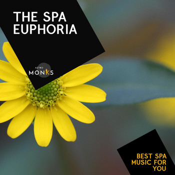 Various Artists - The Spa Euphoria - Best Spa Music for You