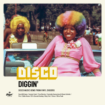 Various Artists - Disco Diggin' : Disco Music Gems From Vinyl Diggers
