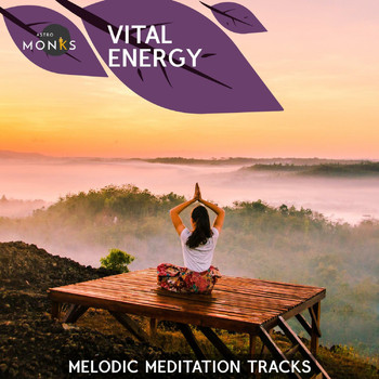 Various Artists - Vital Energy - Melodic Meditation Tracks