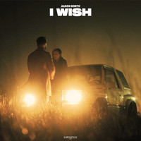 Aaron North - I Wish (Extended Mix)