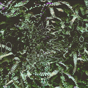 Clearlight - Cohoba