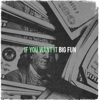 Big Fun - If You Want It (Explicit)