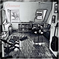 The Wires - Domus