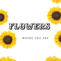 Flowers - Where You Are