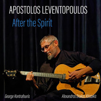Apostolos Leventopoulos - After the Spirit