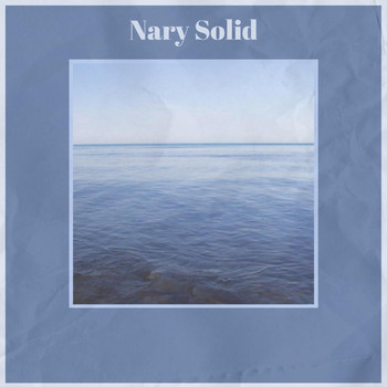 Various Artists - Nary Solid