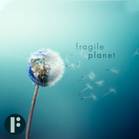 Felt - Fragile Planet