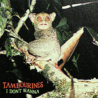 Tambourines - I Don't Wanna