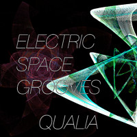 Qualia - Electric Space Grooves