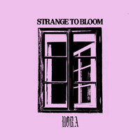 Nora - Strange to Bloom