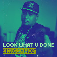 Shaggamon - Look What U Done (Explicit)