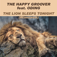 The Happy Groover - The Lion Sleeps Tonight (Wimoweh)