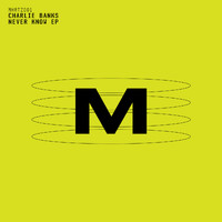Charlie Banks - Never Know EP