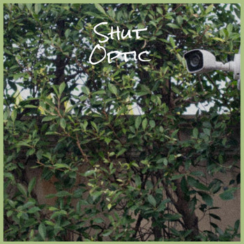 Various Artists - Shut Optic