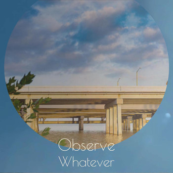 Various Artists - Observe Whatever