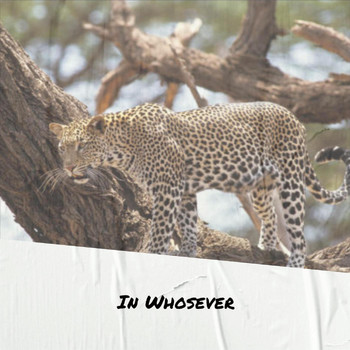 Various Artists - In Whosever