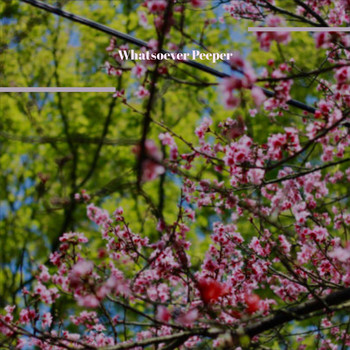 Various Artists - Whatsoever Peeper