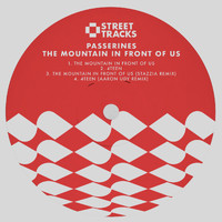 Passerines - The Mountain in Front Of Us