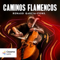 Renaud Garcia-Fons - Caminos Flamencos